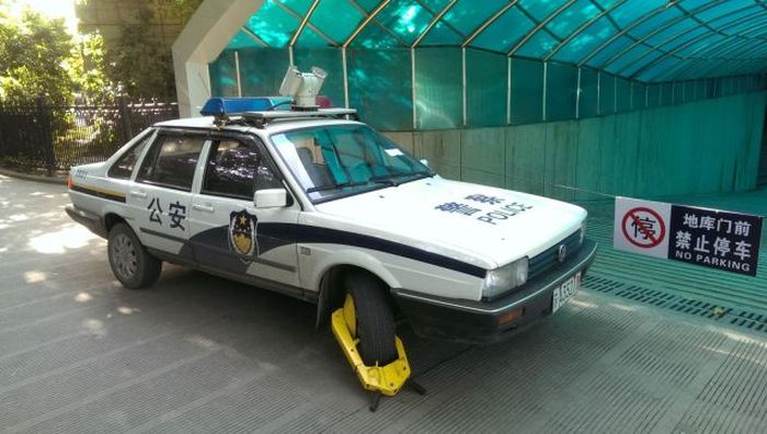 Acid Picdump (111 pics)