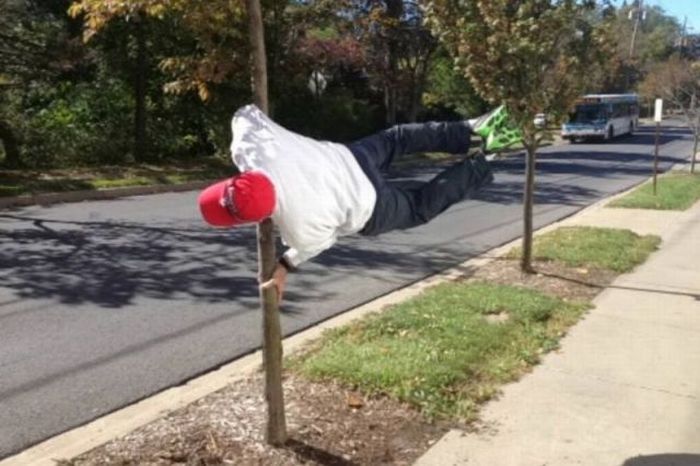 Acid Picdump (111 pics)