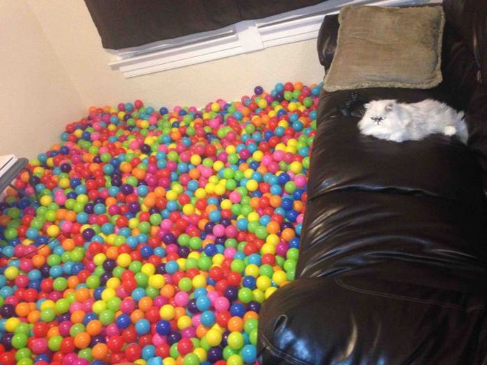Acid Picdump (111 pics)