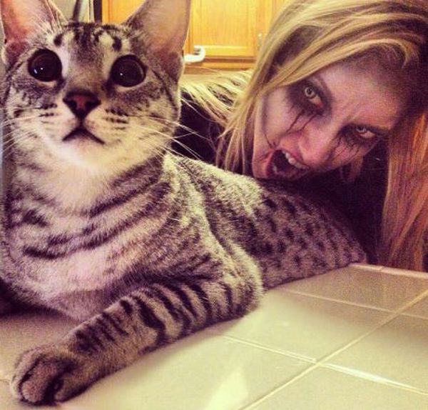 Acid Picdump (111 pics)