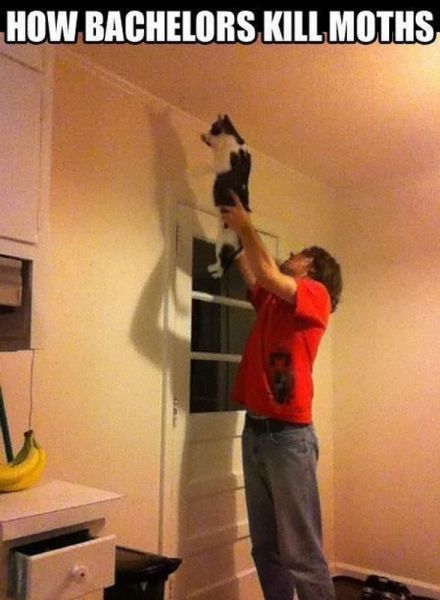 Acid Picdump (111 pics)