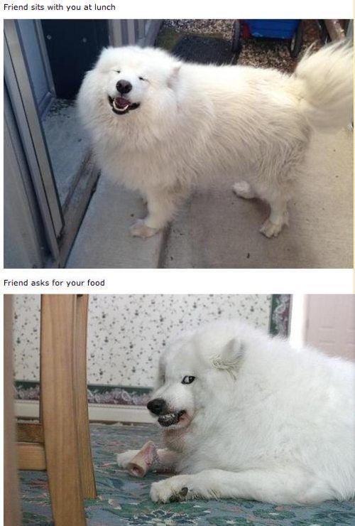 Acid Picdump (111 pics)