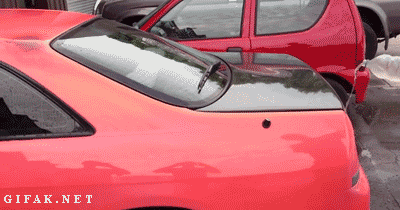 These Things Actually Exist (37 pics) These Things Actually Exist (37 pics)