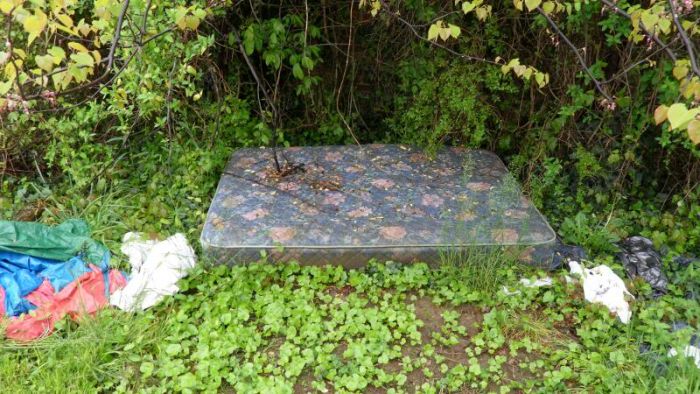 Sex Mattress In The Middle Of The Woods (21 pics)