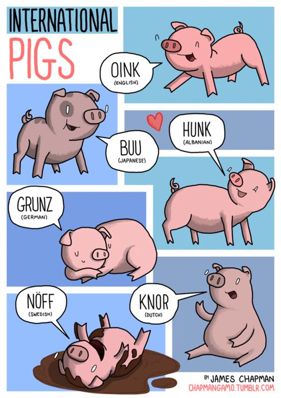 What Noises Animals Make In Other Languages (11 pics)