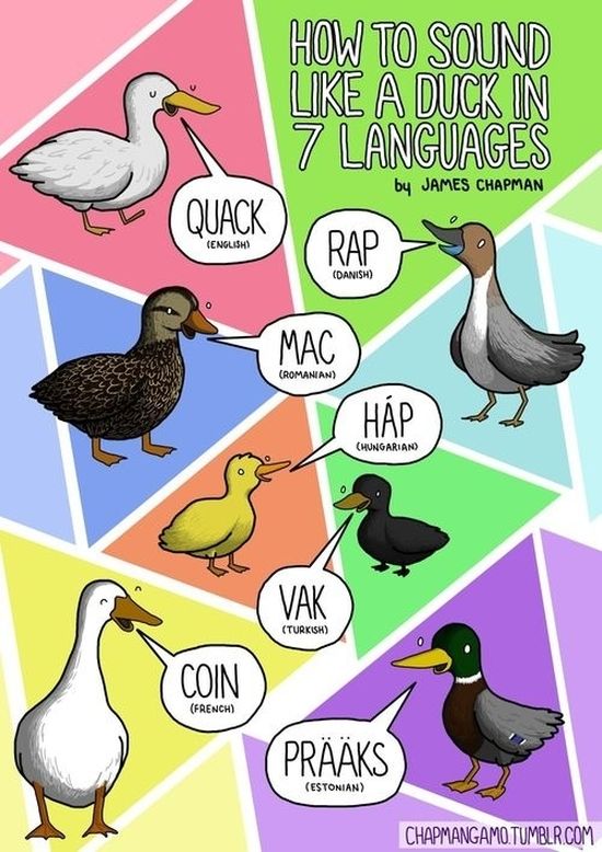 What Noises Animals Make In Other Languages (11 pics)
