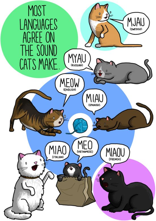 What Noises Animals Make In Other Languages (11 pics)