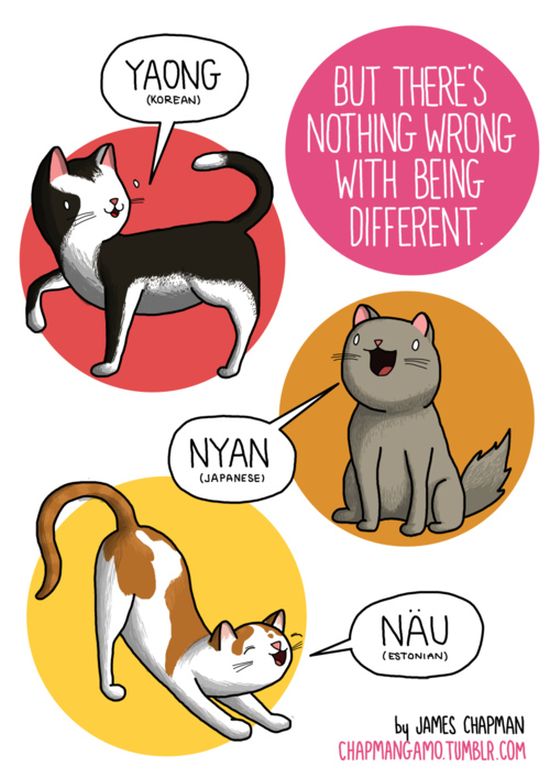 What Noises Animals Make In Other Languages (11 pics)