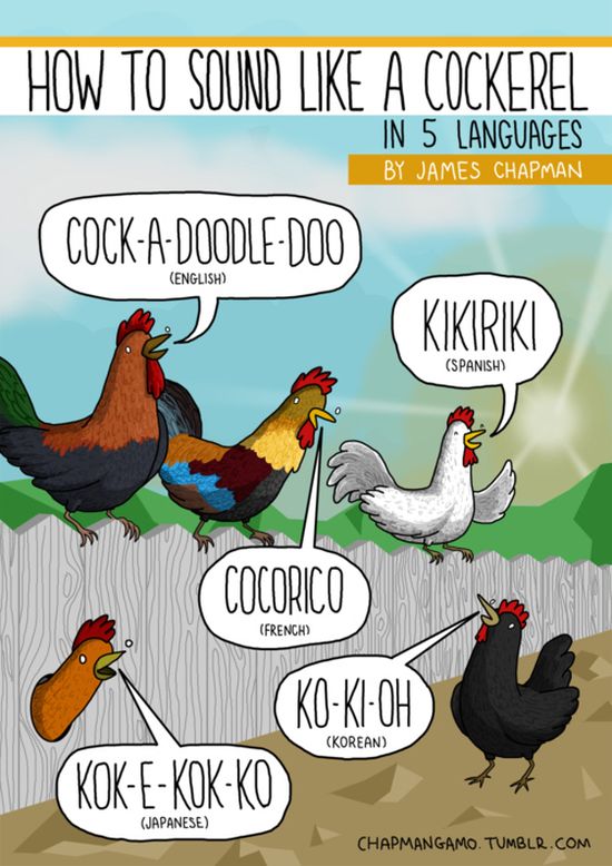 What Noises Animals Make In Other Languages (11 pics)
