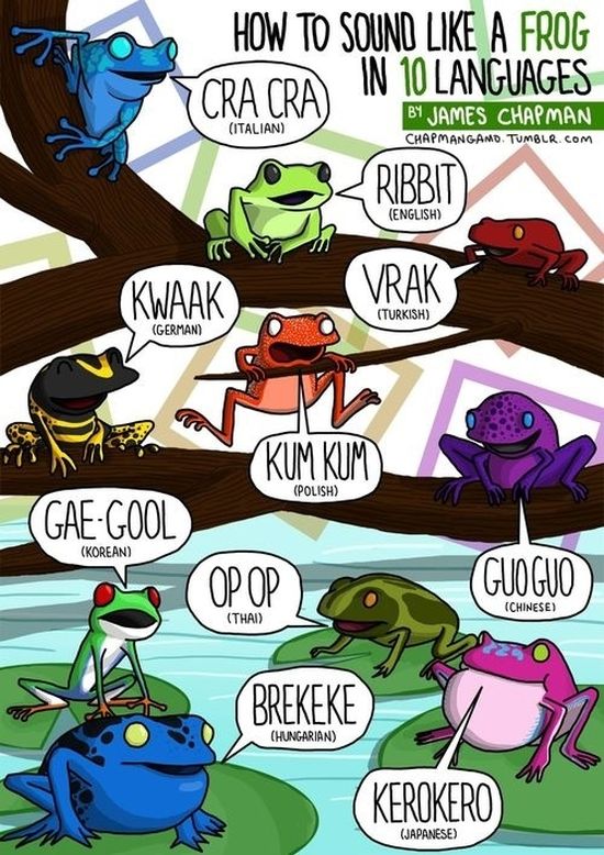 What Noises Animals Make In Other Languages (11 pics)