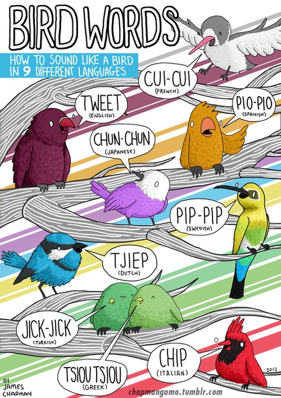 What Noises Animals Make In Other Languages (11 pics)
