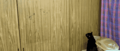 Acid Gifdump, October 21, 2013 (30 gifs)