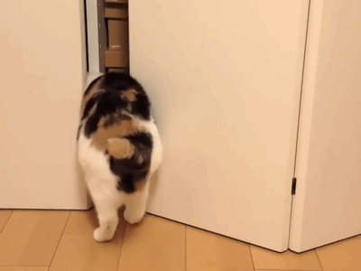 Acid Gifdump, October 21, 2013 (30 gifs)