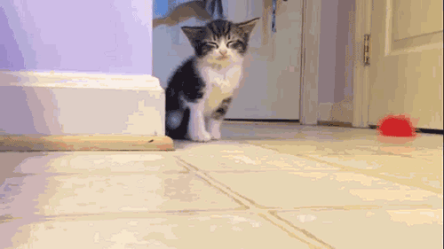 Acid Gifdump, October 21, 2013 (30 gifs)