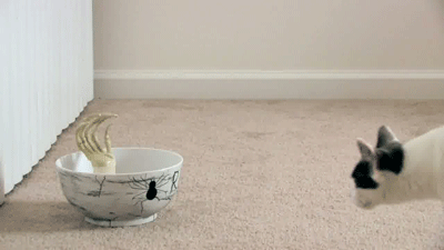 Acid Gifdump, October 21, 2013 (30 gifs)