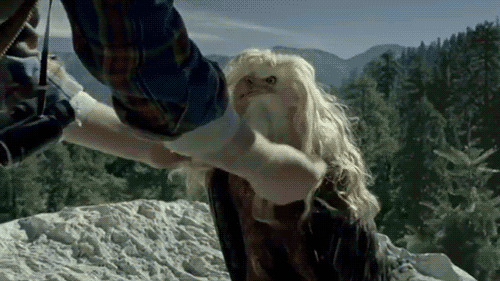 Acid Gifdump, October 21, 2013 (30 gifs)