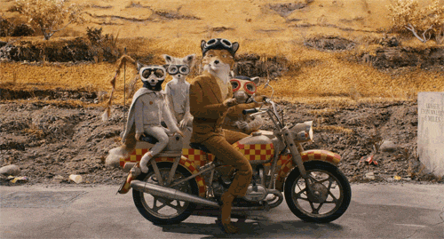 Acid Gifdump, October 21, 2013 (30 gifs)