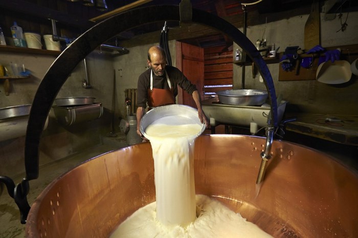 The Making of the Real Swiss Cheese (23 pics)
