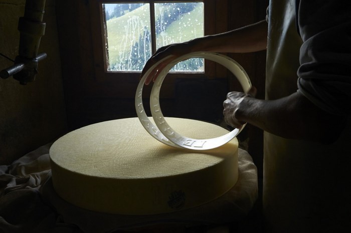 The Making of the Real Swiss Cheese (23 pics)