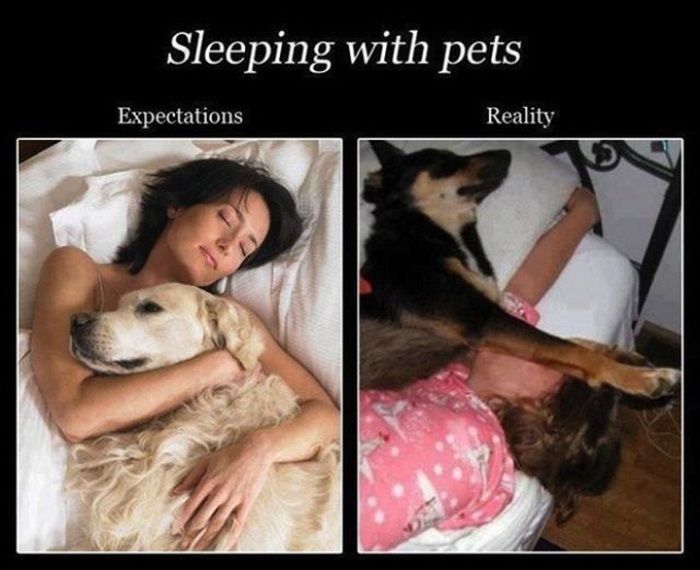 Expectation vs Reality (30 pics)