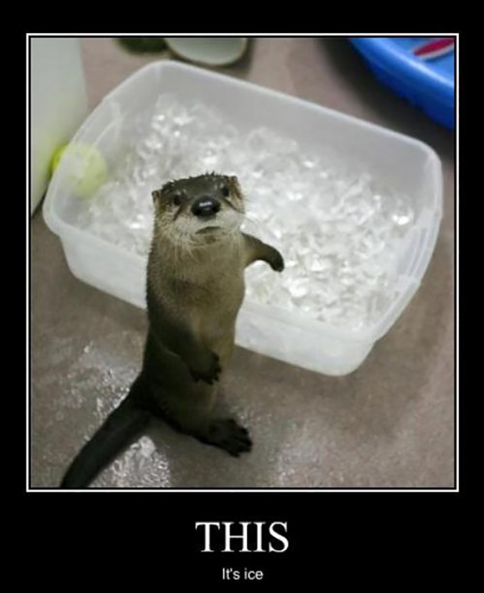 Demotivational Posters (28 pics)