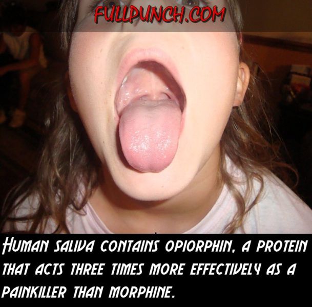 Interesting Facts about Your Body (23 pics)
