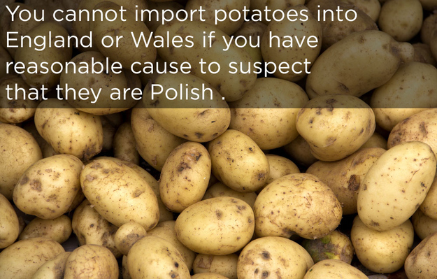 Weird Laws that Really Exist (13 pics)