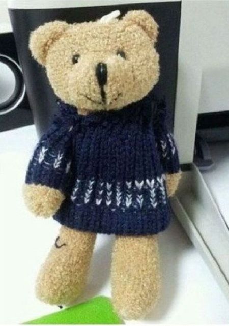 Just a Normal Teddy Bear? (2 pics)