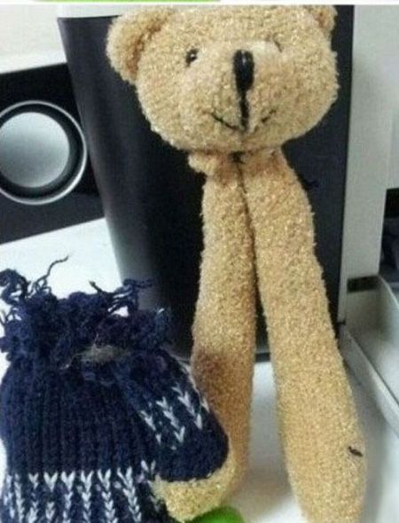 Just a Normal Teddy Bear? (2 pics)
