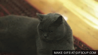 Did It Ever Happen to You When... Part 60 (19 gifs)