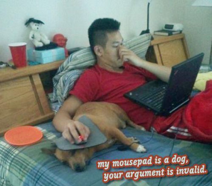 Your Argument is Invalid (45 pics)