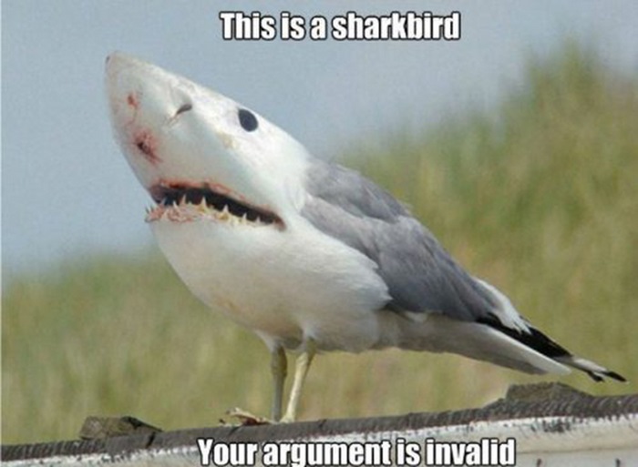 Your Argument is Invalid (45 pics)