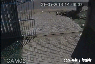Acid Gifdump, October 25, 2013 (30 gifs)