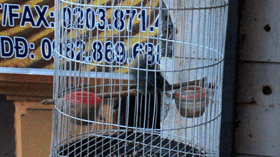 Acid Gifdump, October 25, 2013 (30 gifs)