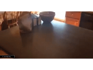 Acid Gifdump, October 25, 2013 (30 gifs)