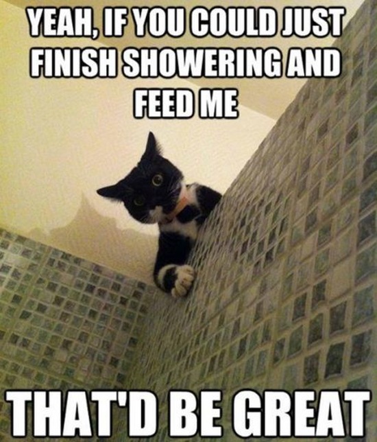 Respect My Privacy! (29 pics)