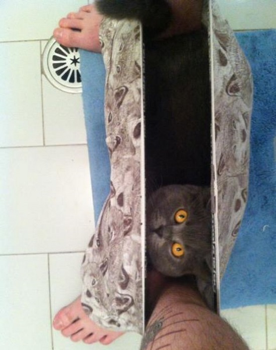 Respect My Privacy! (29 pics)