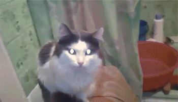 Respect My Privacy! (29 pics)