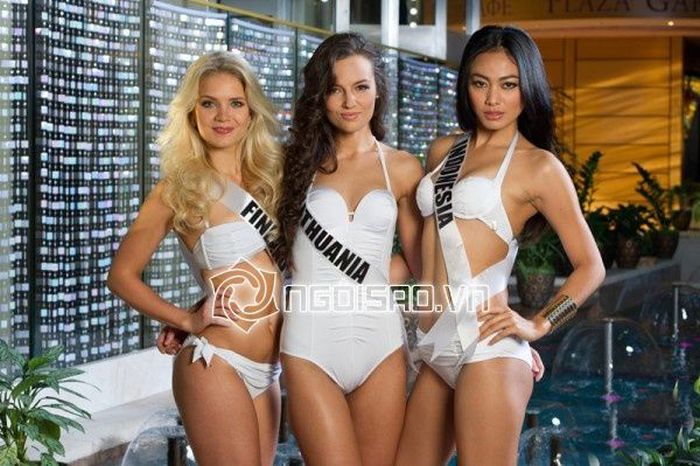 2013 Miss Universe Contestants (30 pics)