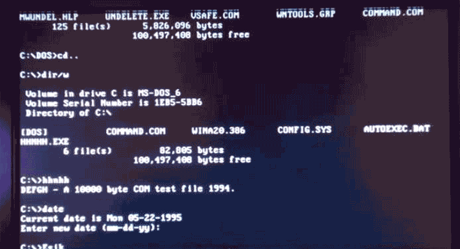 Old School MS-DOS Viruses in Action (15 gifs)
