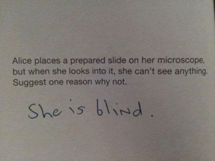 This is Clever (33 pics)