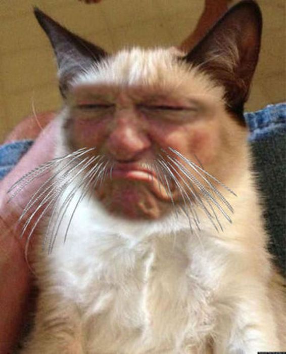 Displeased Bill Clinton Meme (31 pics)