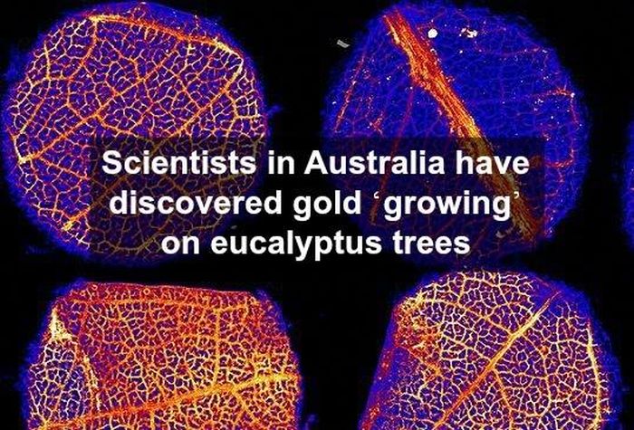 Interesting Science Facts and Photos (54 pics)