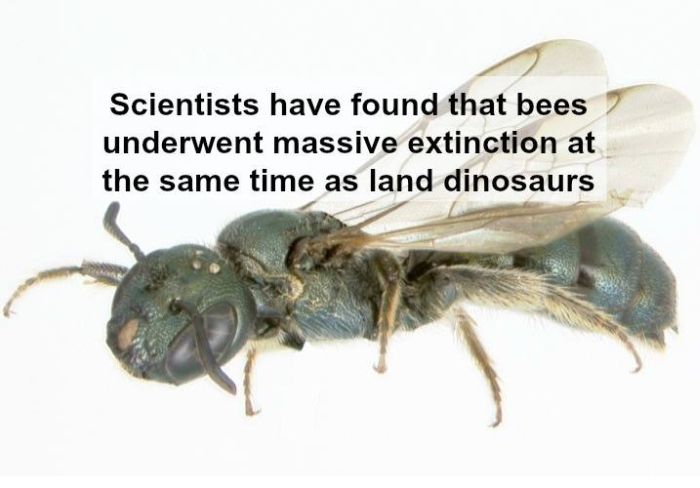 Interesting Science Facts and Photos (54 pics)