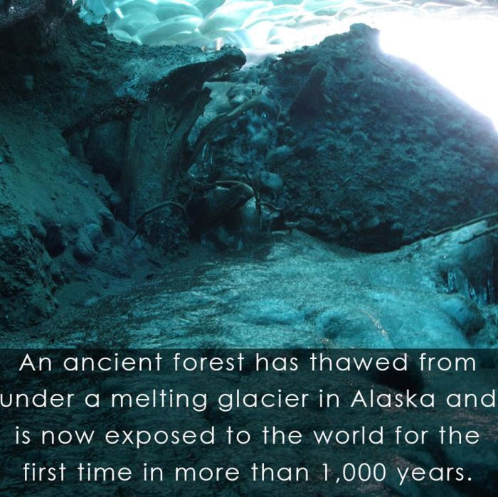 Interesting Science Facts and Photos (54 pics)