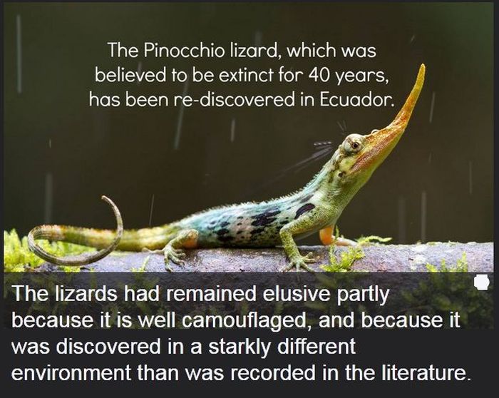 Interesting Science Facts And Photos 54 Pics 2880