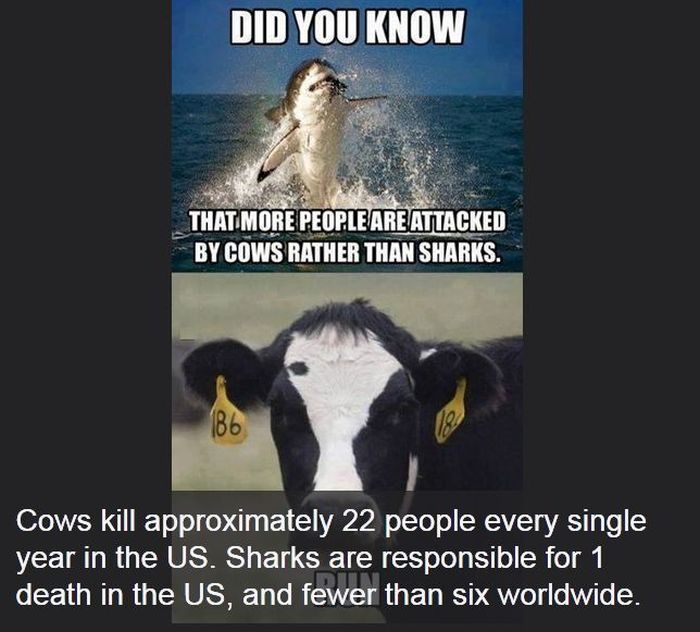Interesting Science Facts And Photos 54 Pics 
