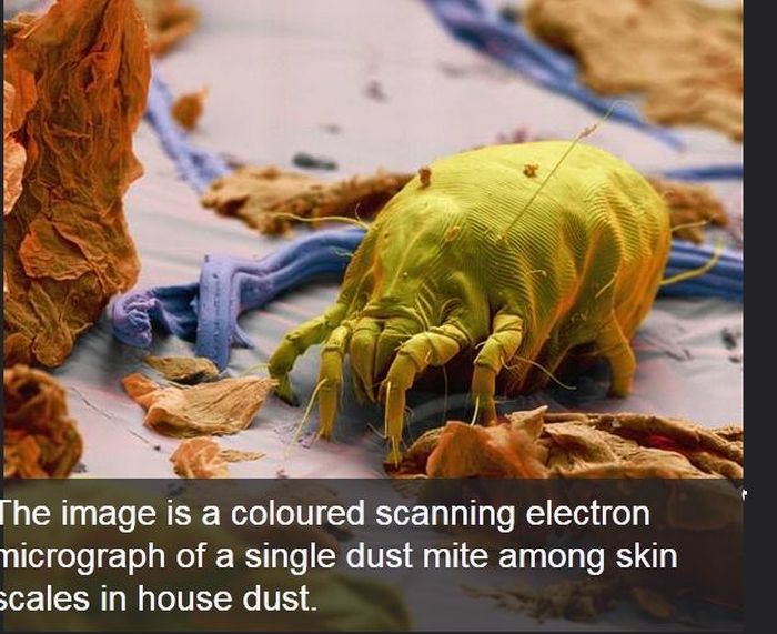 Interesting Science Facts and Photos (54 pics)