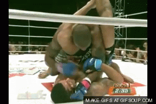 Knockouts (20 gifs)