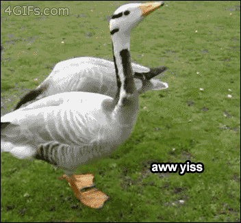 GIFs with Captions (14 gifs) GIFs with Captions (14 gifs)